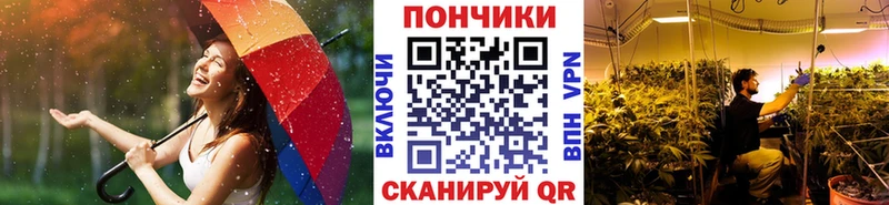 как найти наркотики  Батайск  Бошки марихуана план 